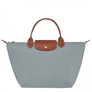 Bolsa de Mão Longchamp Le Pliage Original M Feminino Cinzentas | 2483-JKHUN