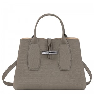 Bolsa de Mão Longchamp Roseau M Feminino Cinzentas | 5287-ALXYQ