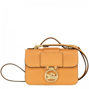 Bolsas Crossbody Longchamp Box-Trot XS Feminino Abricó Laranja | 1743-TYPUW