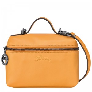 Bolsas Crossbody Longchamp Le Pliage Xtra XS Vanity Feminino Abricó Laranja | 1758-XHVZY