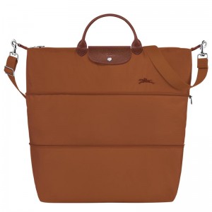 Bolsas De Viagem Longchamp Le Pliage Green expandable Masculino Marrom | 3179-GNVJM